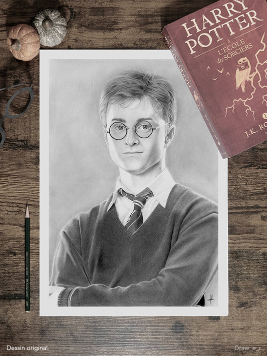 HARRY POTTER - Print (particulier)