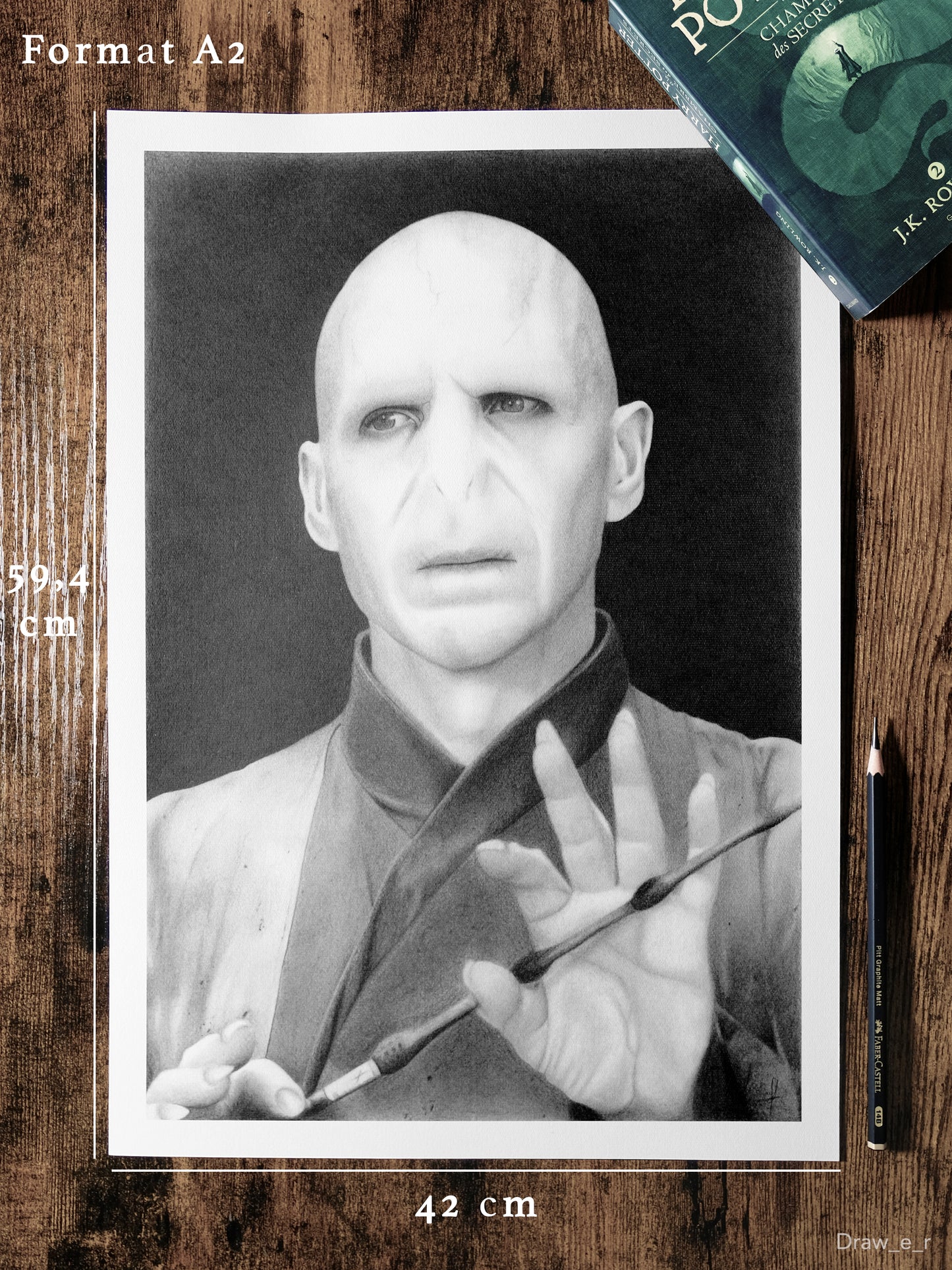 VOLDEMORT - Harry Potter (Print)