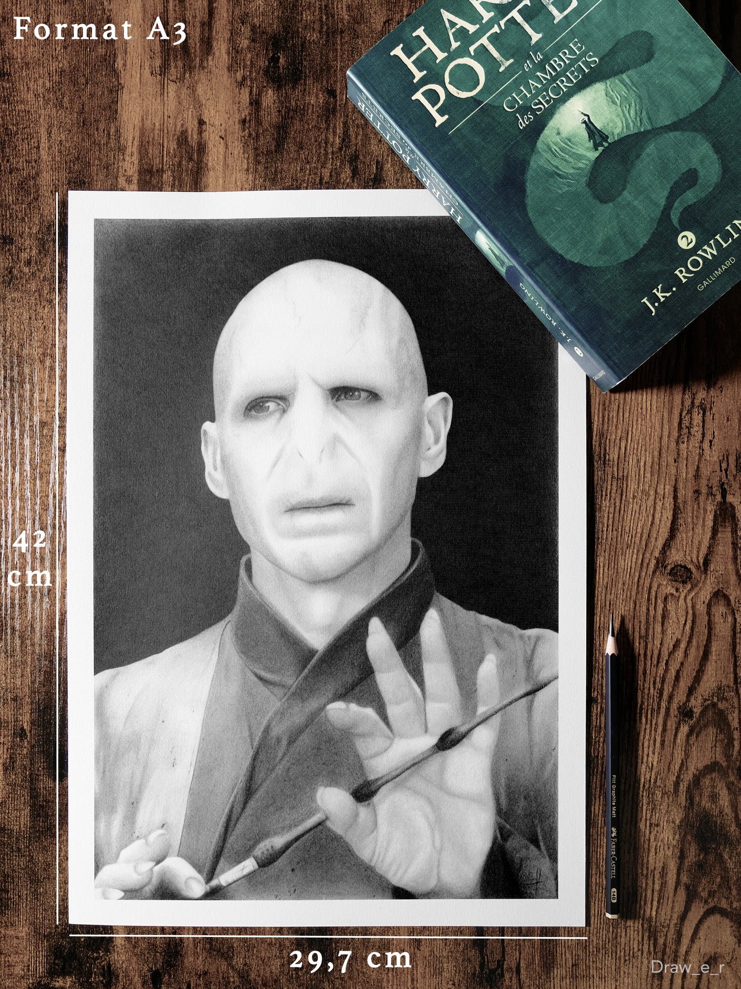 VOLDEMORT - Harry Potter (Print)