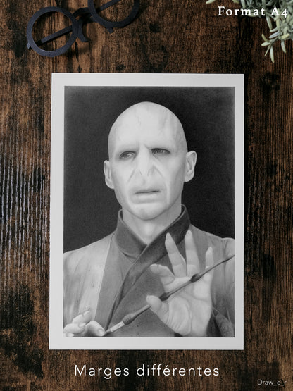 VOLDEMORT - Print (particulier)