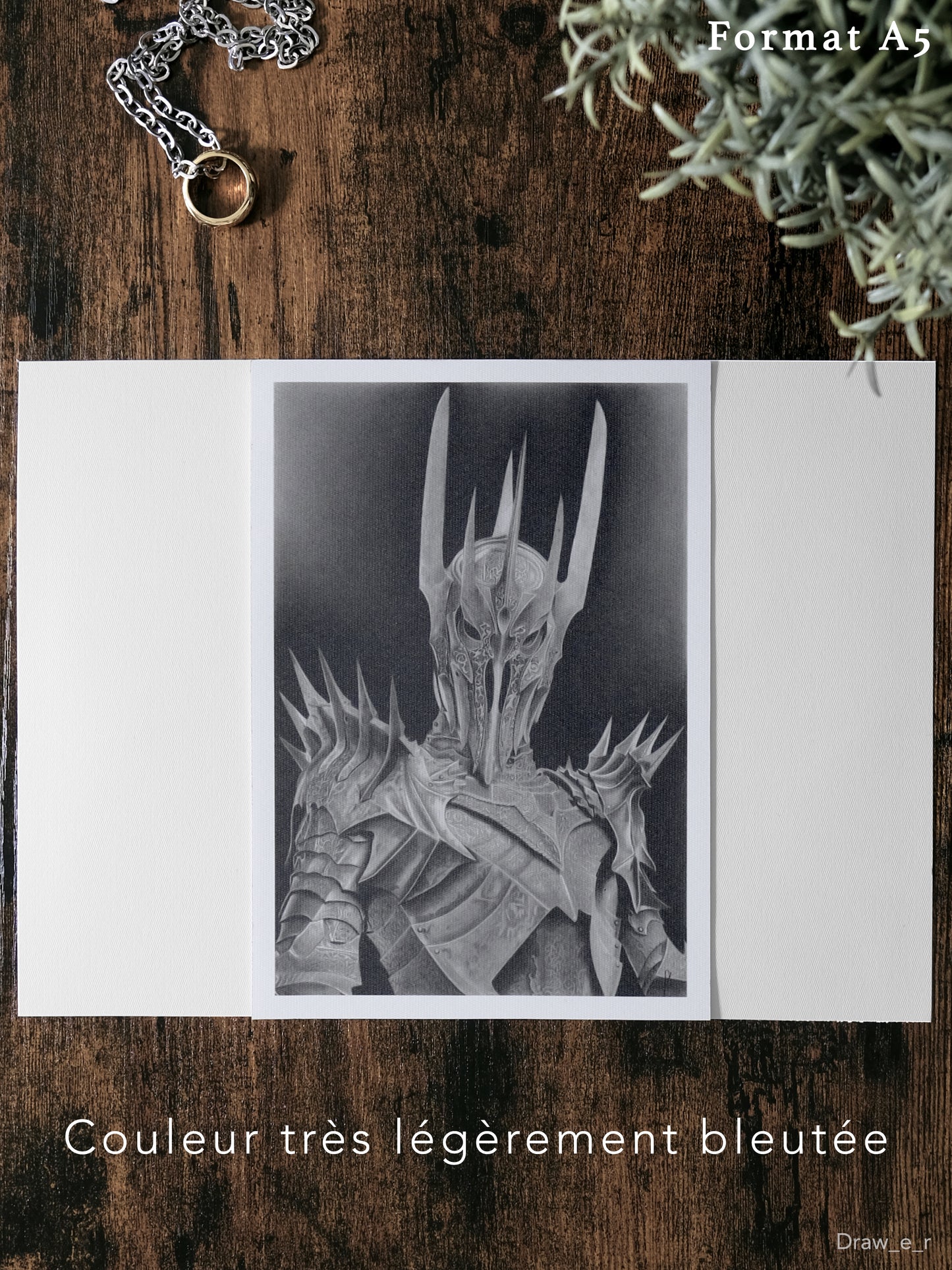 SAURON - Print (particulier)