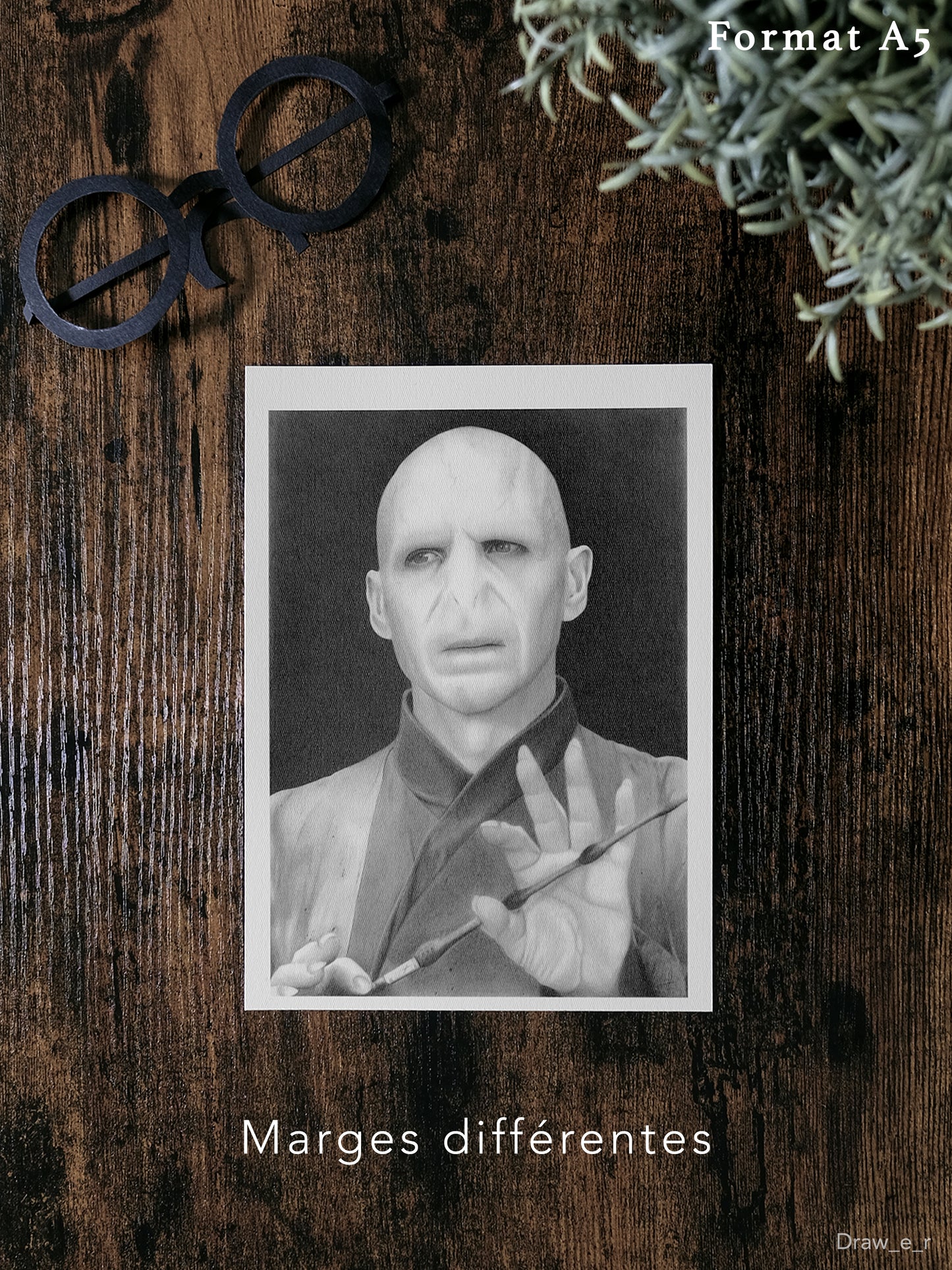 VOLDEMORT - Print (particulier)